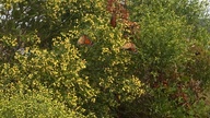 20121027_133354_thumb.jpg