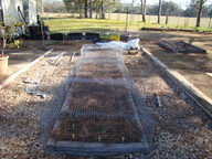 dsc01794_thumb.jpg