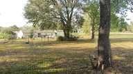 img_3251_thumb.jpg