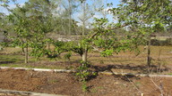 img_3264_thumb.jpg