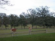 dscn1646_thumb.jpg