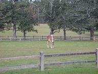 dscn1648_thumb.jpg