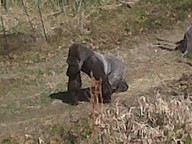 IMG00104-20100304-1445_thumb.jpg