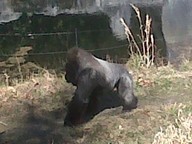 IMG00105-20100304-1445_thumb.jpg