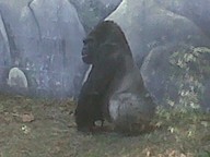 IMG00106-20100304-1456_thumb.jpg
