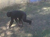 IMG00107-20100304-1457_thumb.jpg