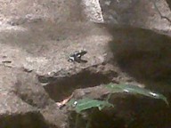 IMG00116-20100304-1523_thumb.jpg