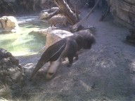 IMG00118-20100304-1527_thumb.jpg