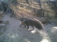 IMG00119-20100304-1528_thumb.jpg