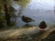 IMG00122-20100304-1531_thumb.jpg