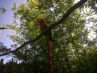 IMG00127-20100304-1534_thumb.jpg
