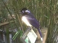 IMG00132-20100304-1538_thumb.jpg