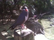 IMG00135-20100304-1541_thumb.jpg