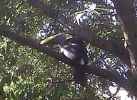 IMG00137-20100304-1542_thumb.jpg