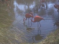 IMG00139-20100304-1548_thumb.jpg
