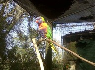 IMG00142-20100304-1555_thumb.jpg
