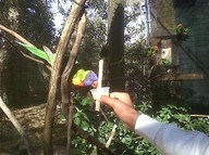 IMG00143-20100304-1556_thumb.jpg