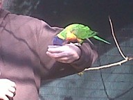 IMG00146-20100304-1558_thumb.jpg