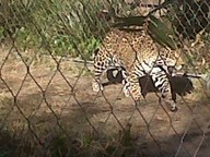 IMG00157-20100304-1635_thumb.jpg