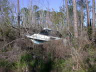 dscn3536_thumb.jpg