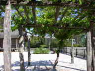 dscn2165_thumb.jpg