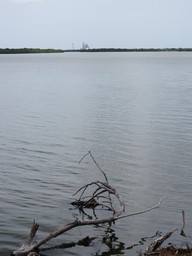 img_0080_thumb.jpg