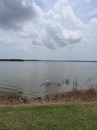 img_0083_thumb.jpg
