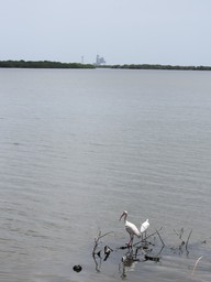 img_0084_thumb.jpg