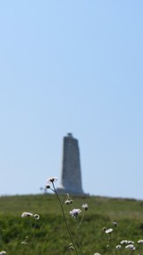 img_4088_thumb.jpg