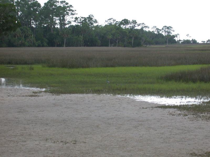 saltpan_thumb.jpg