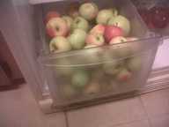 apples2011_3_thumb.jpg