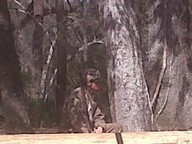 img00172-20100307-1419_thumb.jpg
