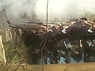 img00174-20100307-1458_thumb.jpg